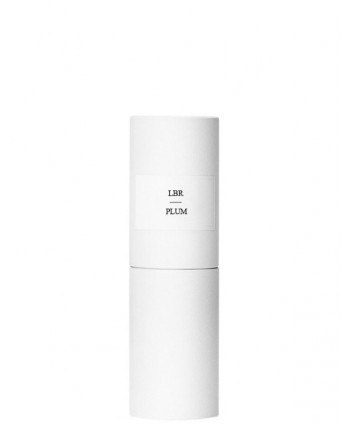 Lipstick Refill Plum (4g)