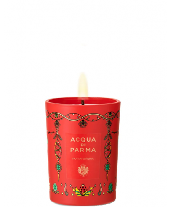 Holiday Home Collection...