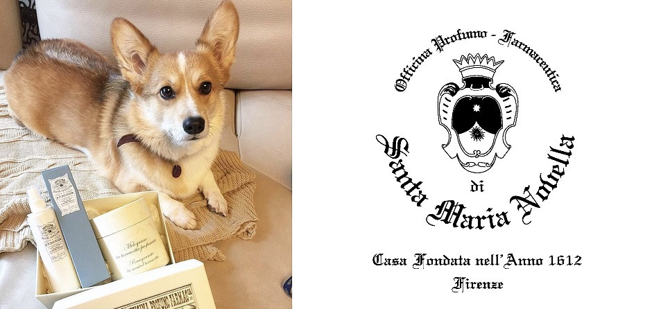 Anche cani e gatti meritano la loro beauty routine!
